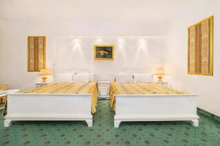 Отель Aurelius Imparatul Romanilor Пояна-Брашов Двухместный номер Делюкс с 2 кроватями размера «king-size» и балконом-4